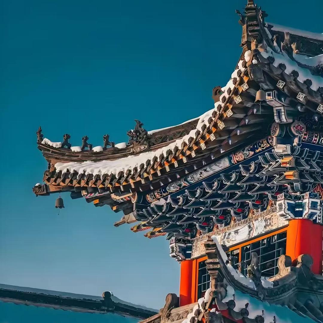 闪丘斌|萍萍直播号