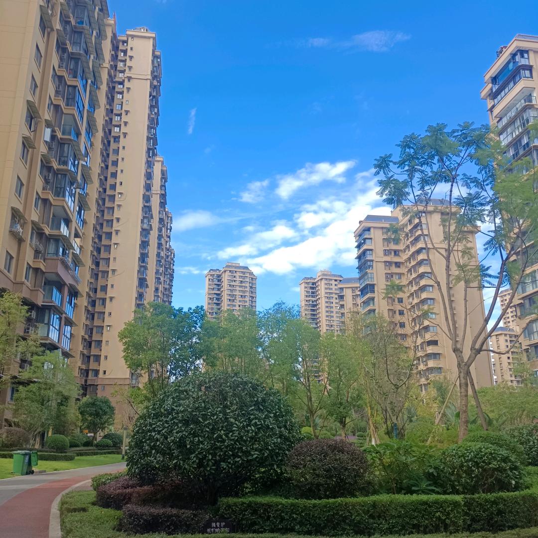 特色鸡婆头炒饭(火车站店)官方号