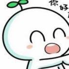 程咬金的师傅直播号
