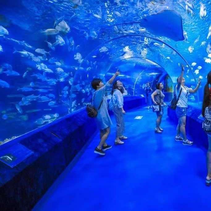 宁夏幻太奇海洋公园