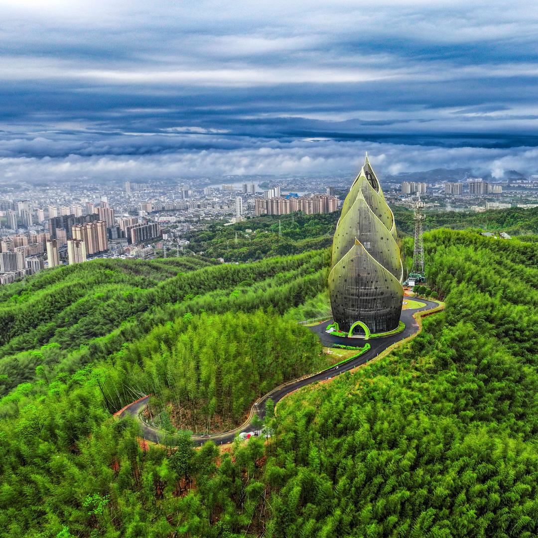 桃花江竹海游乐