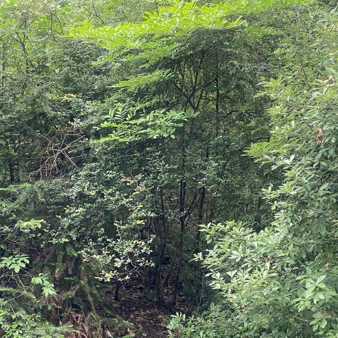 小雯五金建材(腾龙大道店)武汉市正归信息咨询有限公司经营号