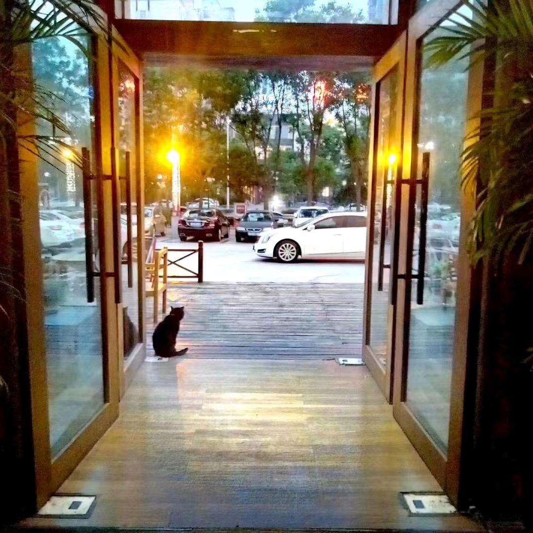 咪咕咖啡西餐厅