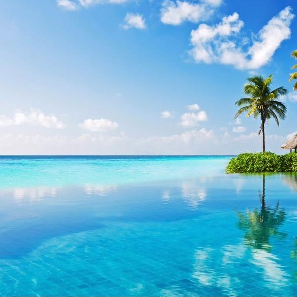 常平小何建材批发直播号