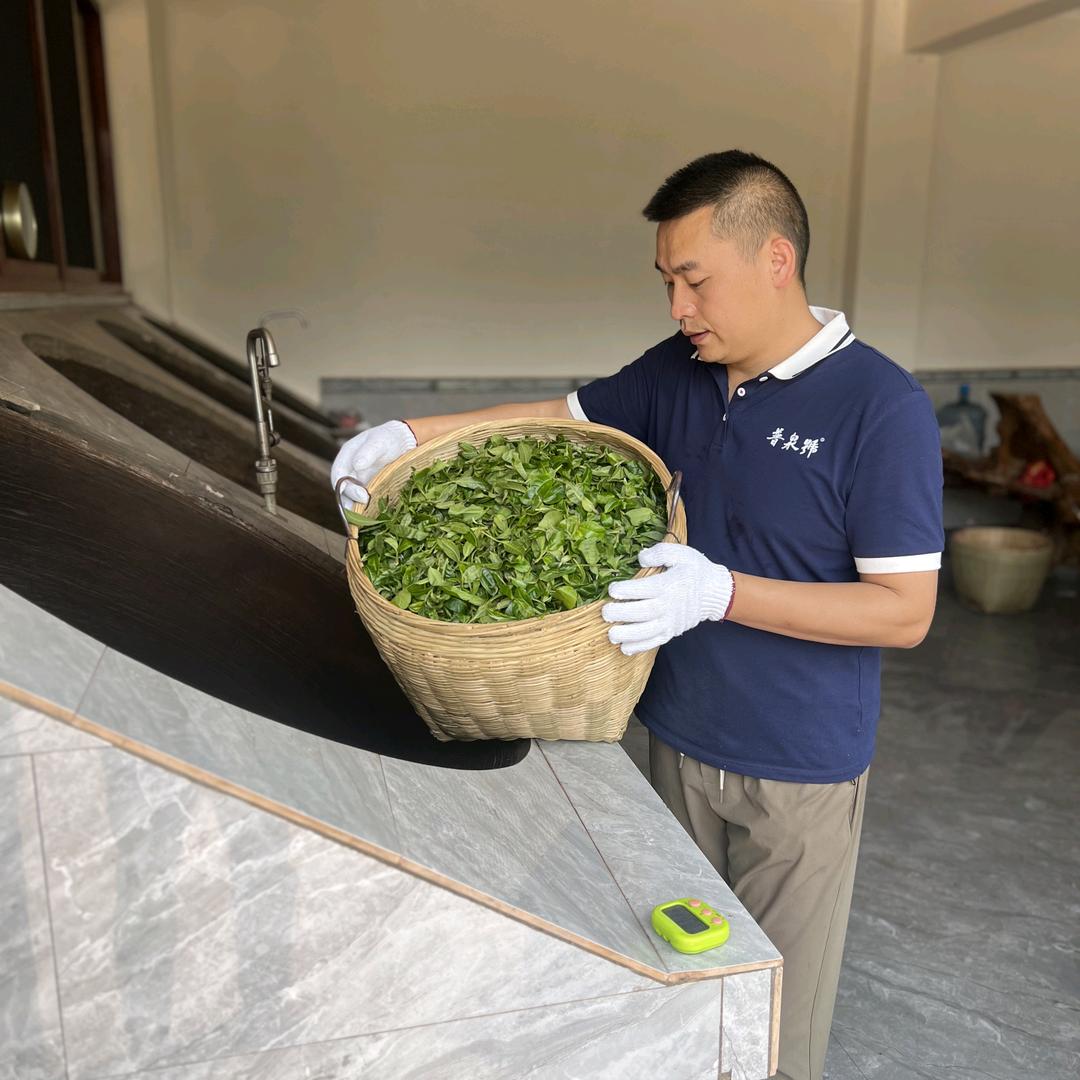 儒芬 普泉号