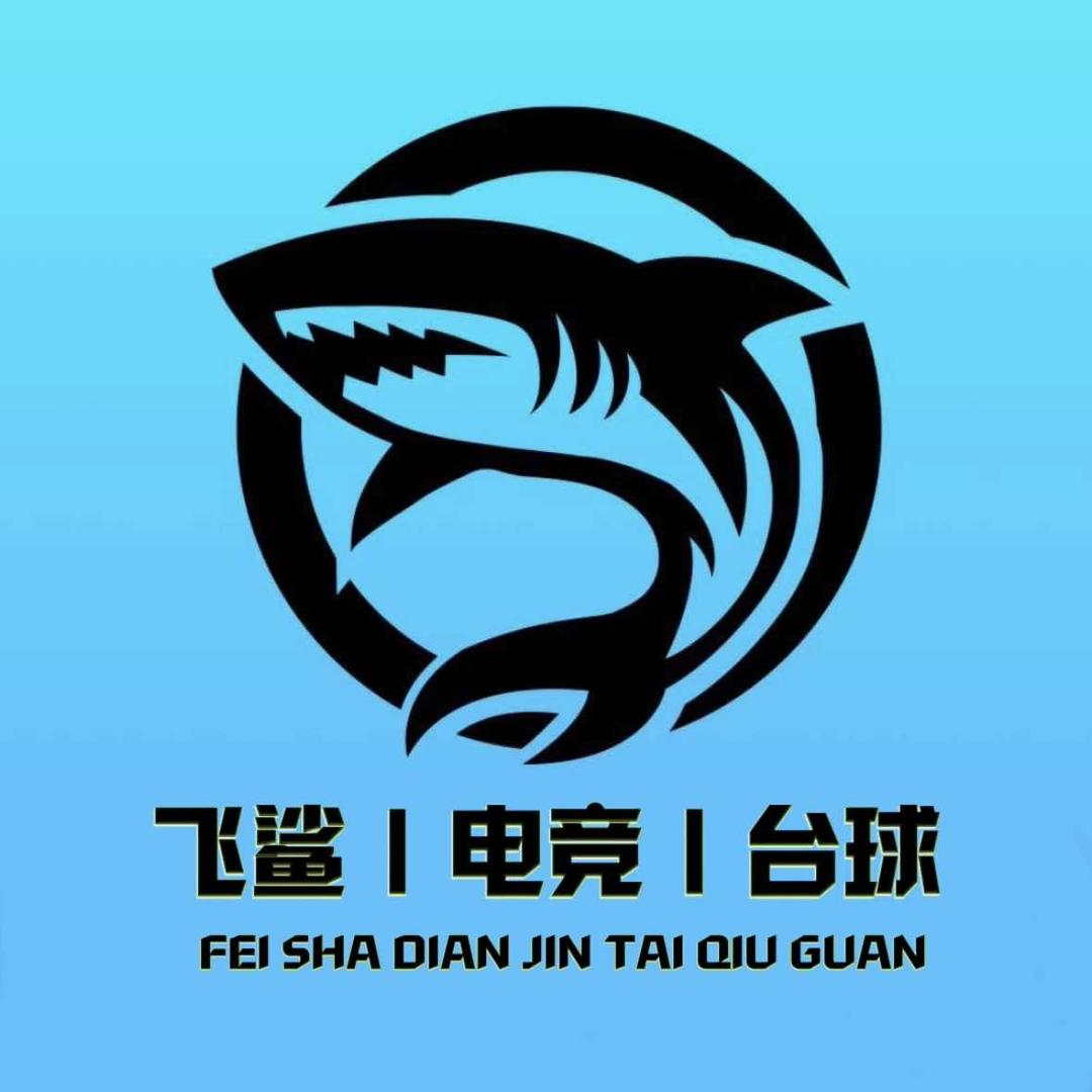 飞鲨电竞FLY SHARK