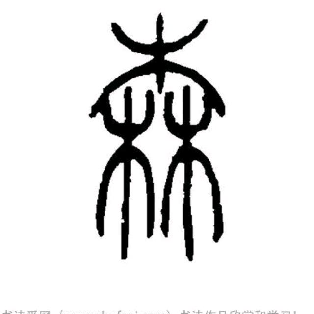 鑫菲传奇