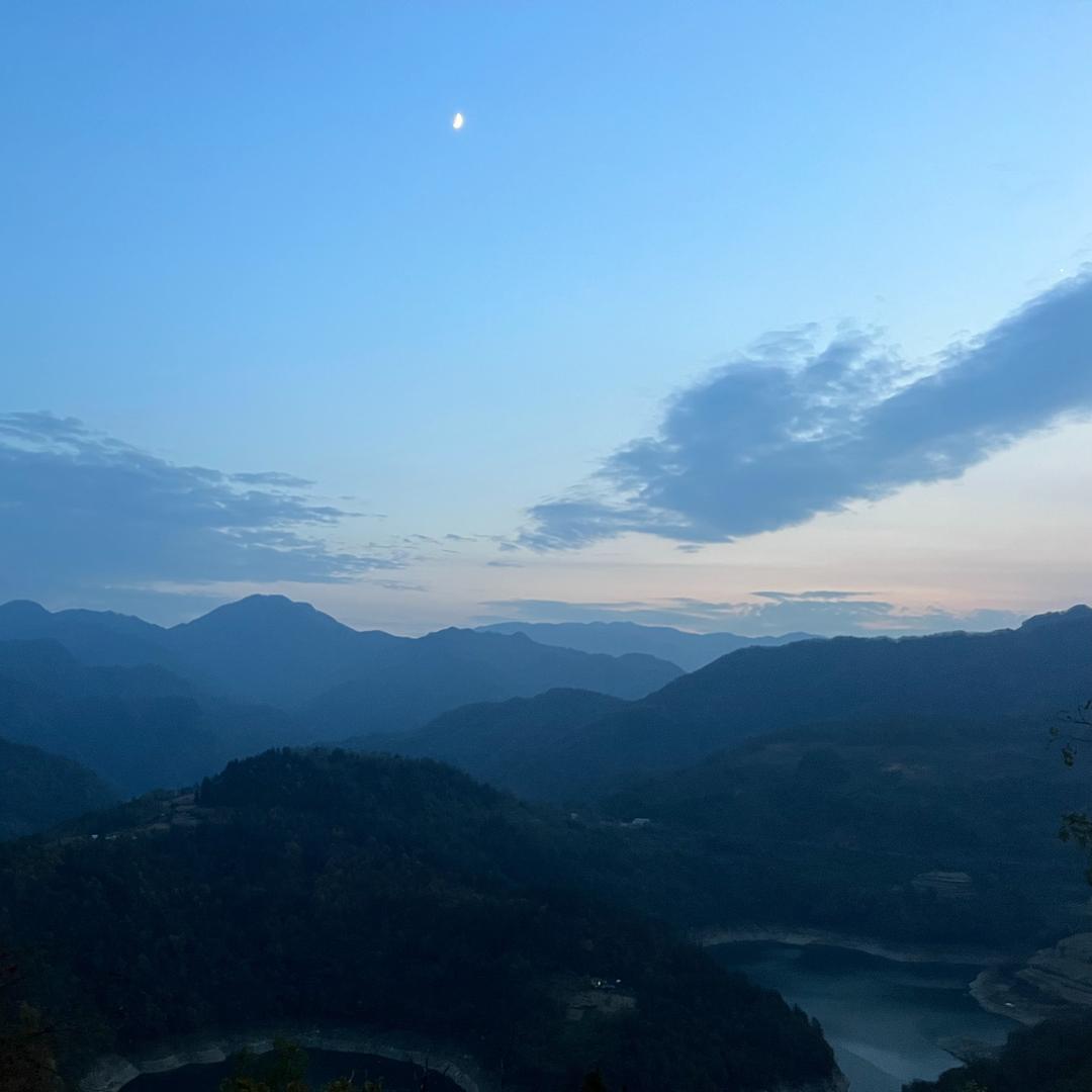 伶洛贸易直播1号