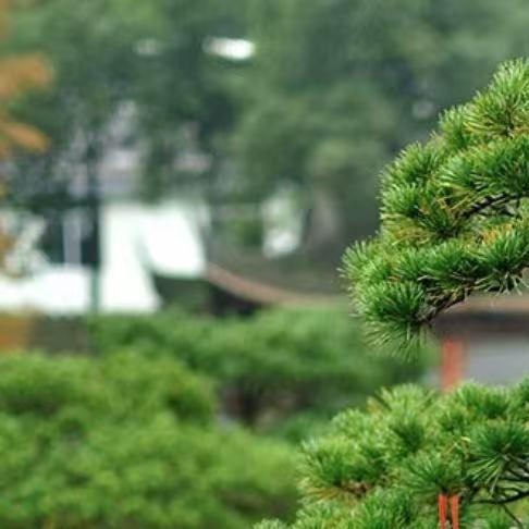 而可读性的直播号