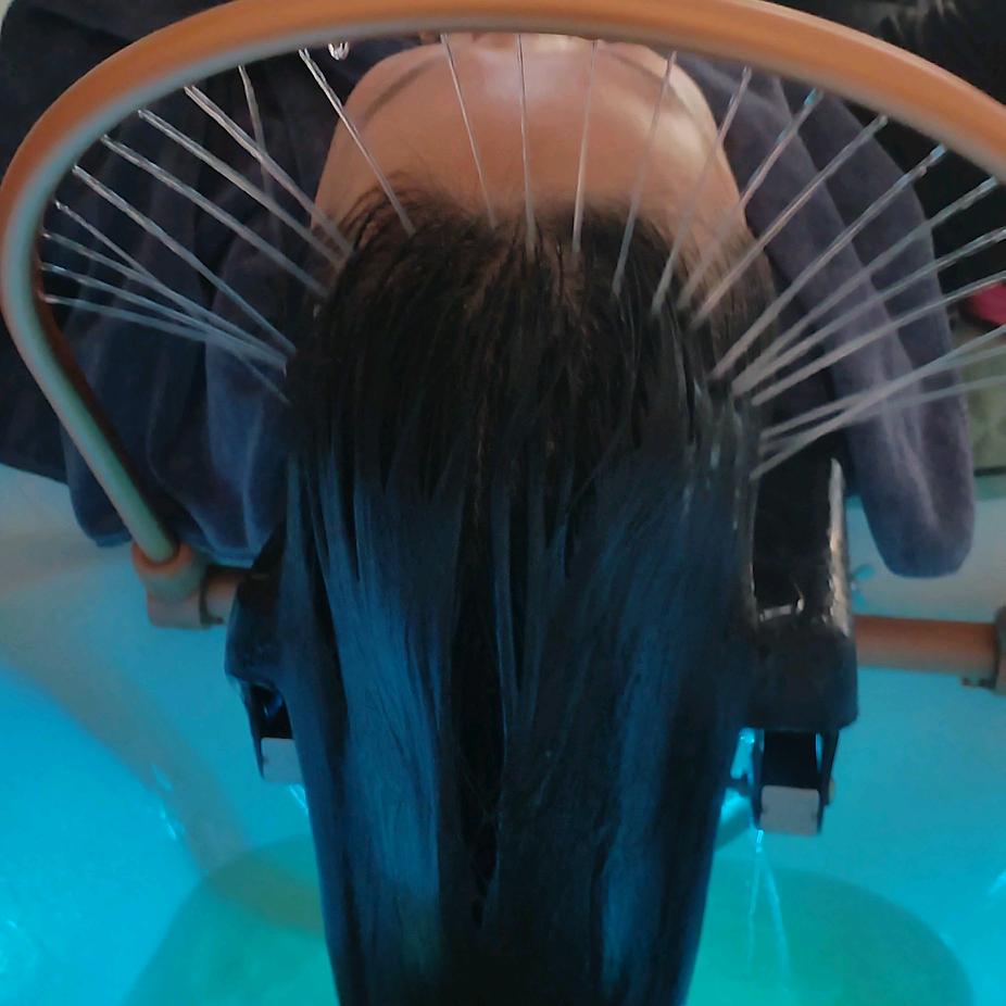 南烛叶头疗美容养生