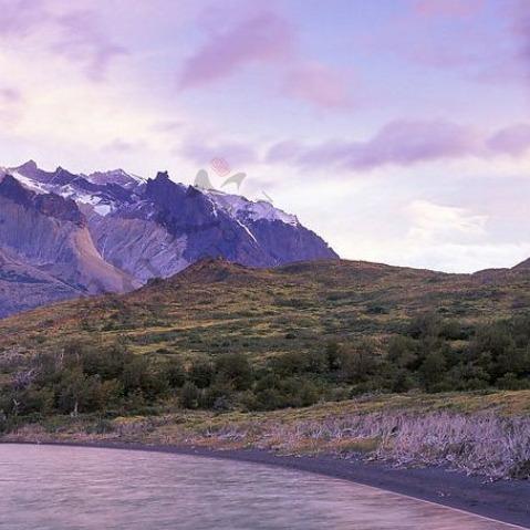 阿冷鞠俊电子运营直播号