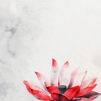 优衣库集安直播号