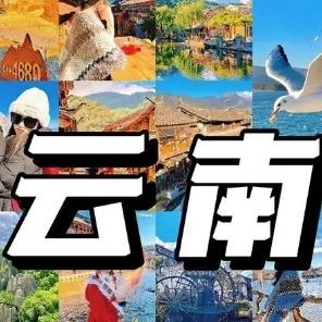 从心出发~~
