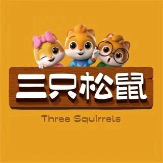 三只松鼠国民零食(高新龙湖店)