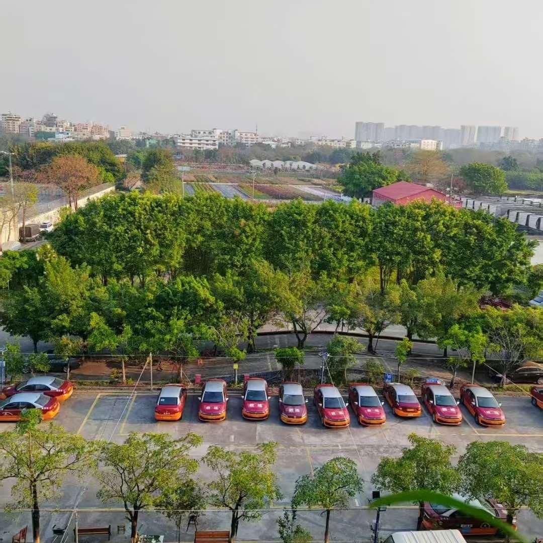 中海驾校-杨教练