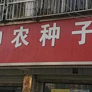响水神农种业，从事农资行业30余年！