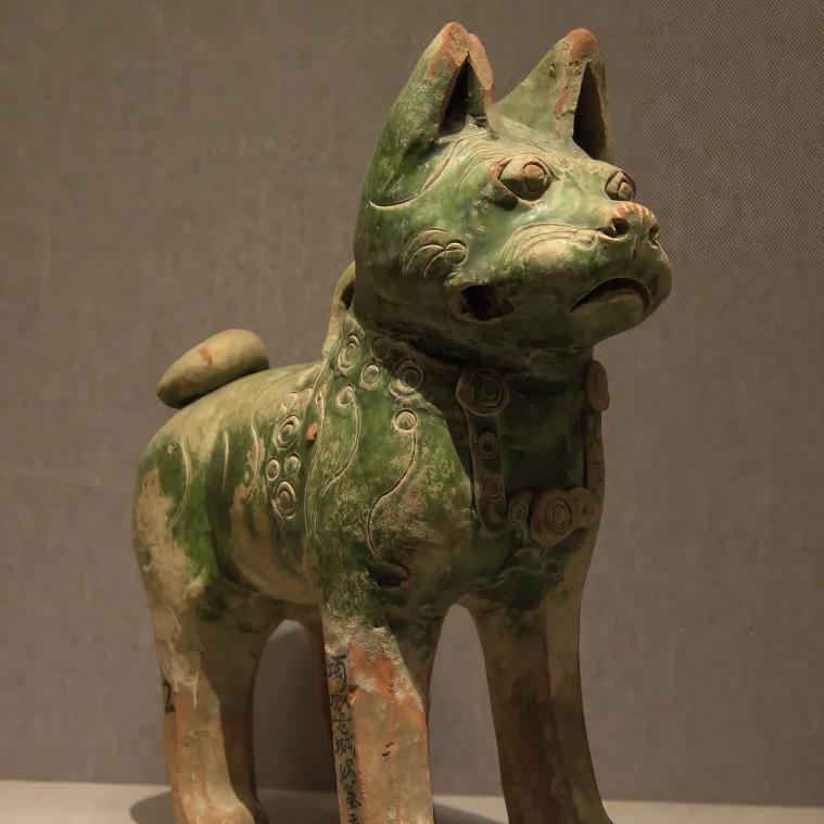 河南拾朋国旅地接专线