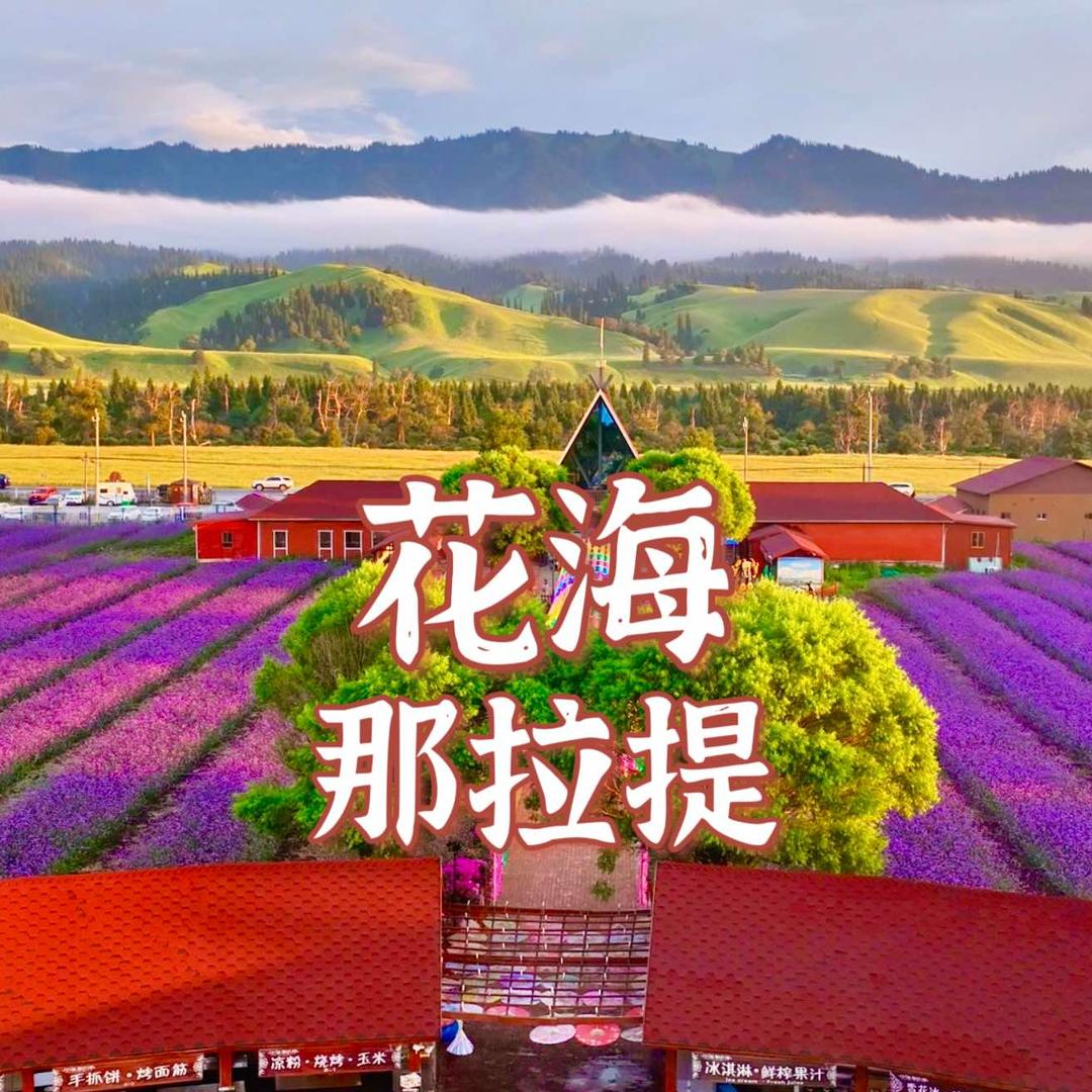 花海那拉提