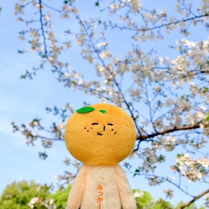 小助理🧚‍♀️