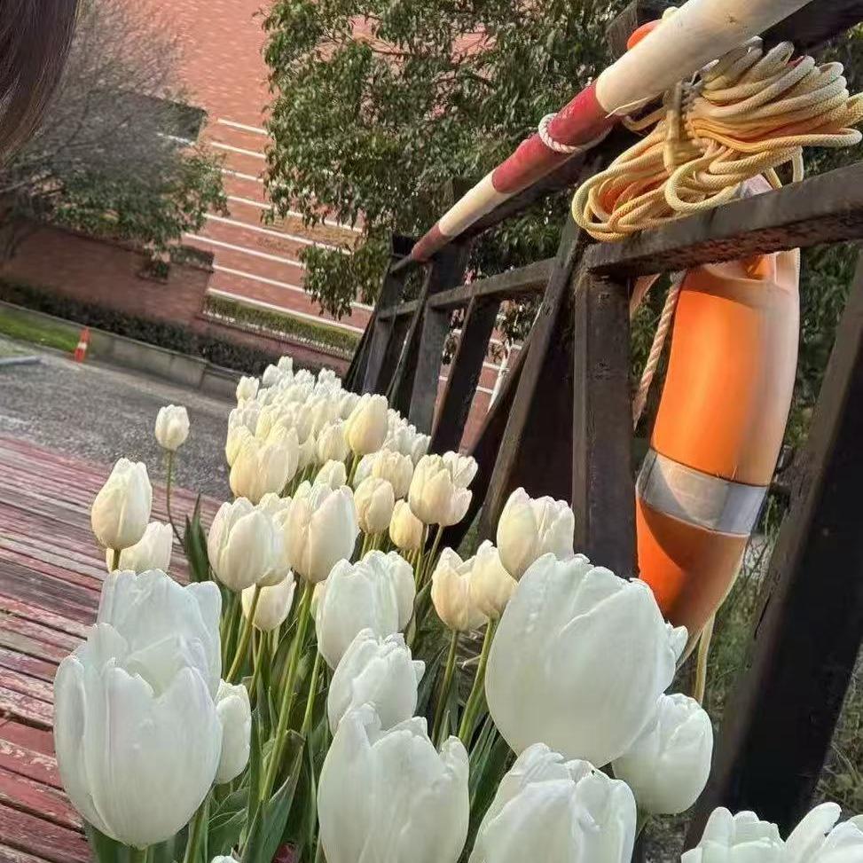 Alin淼泷