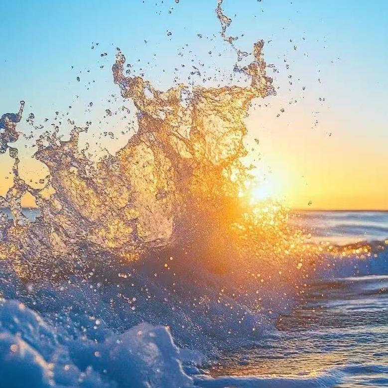 金叶春天便利(悦府新君超市店)宠粉号