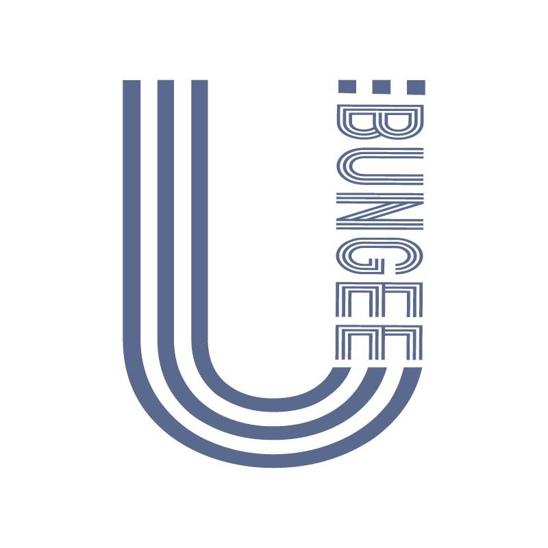 U-BUNGEE室内蹦极