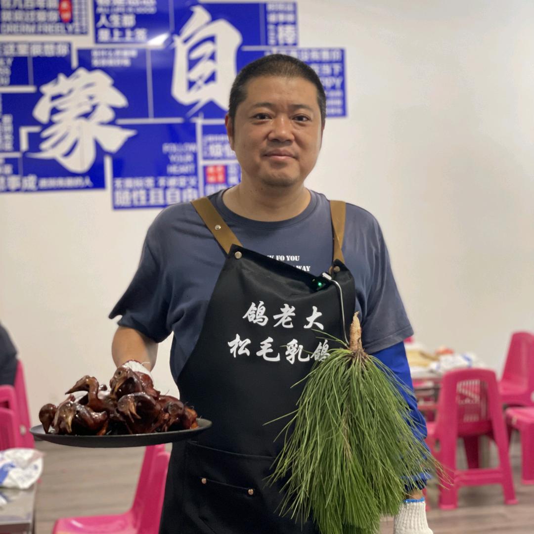 鸽老大松毛乳鸽