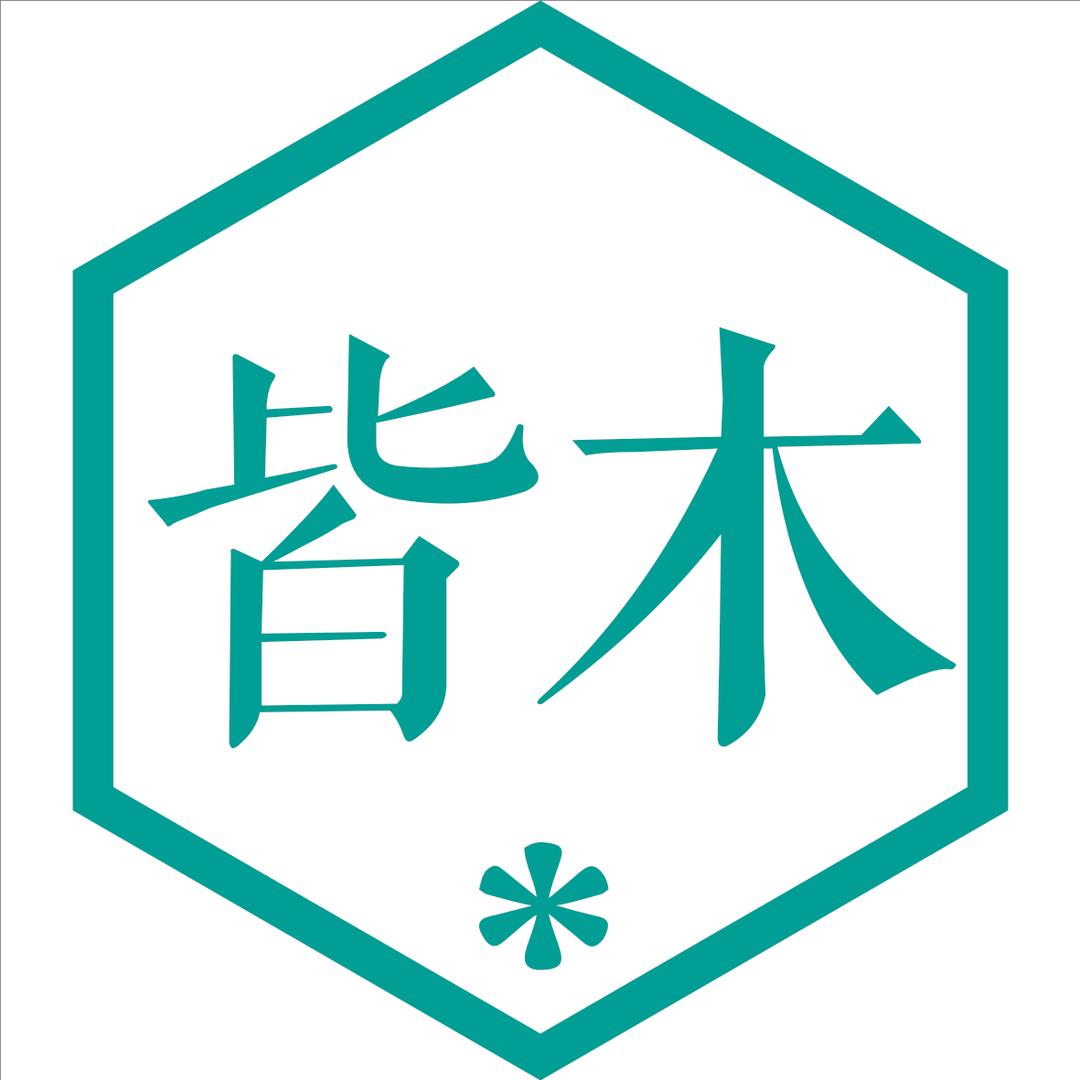 皆木娱乐工作室