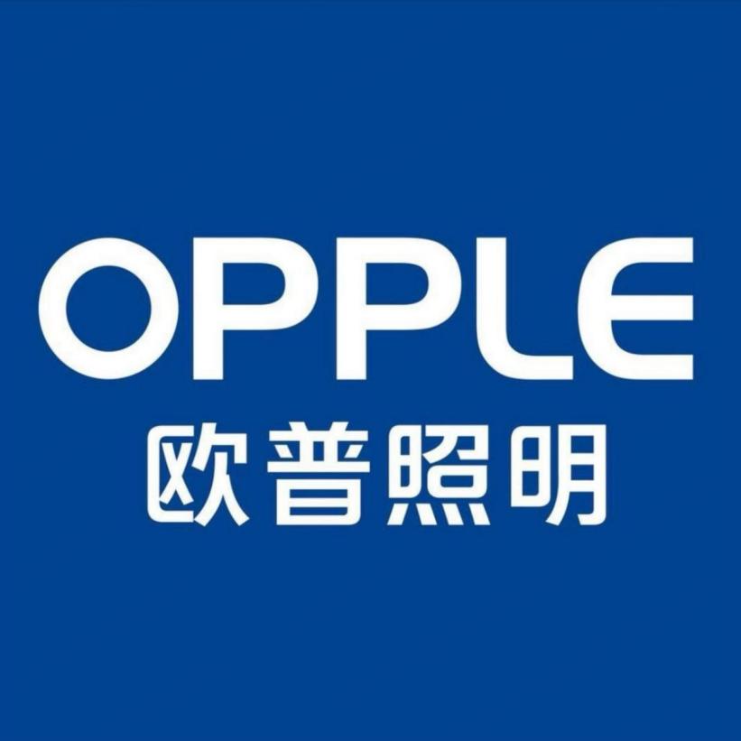 松江欧普卖灯小姐姐