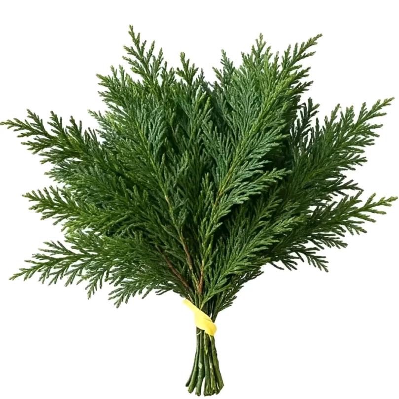 胡记农家乐.心藏月光