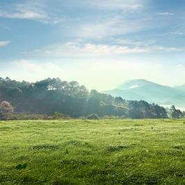 保时盈盛品牌号