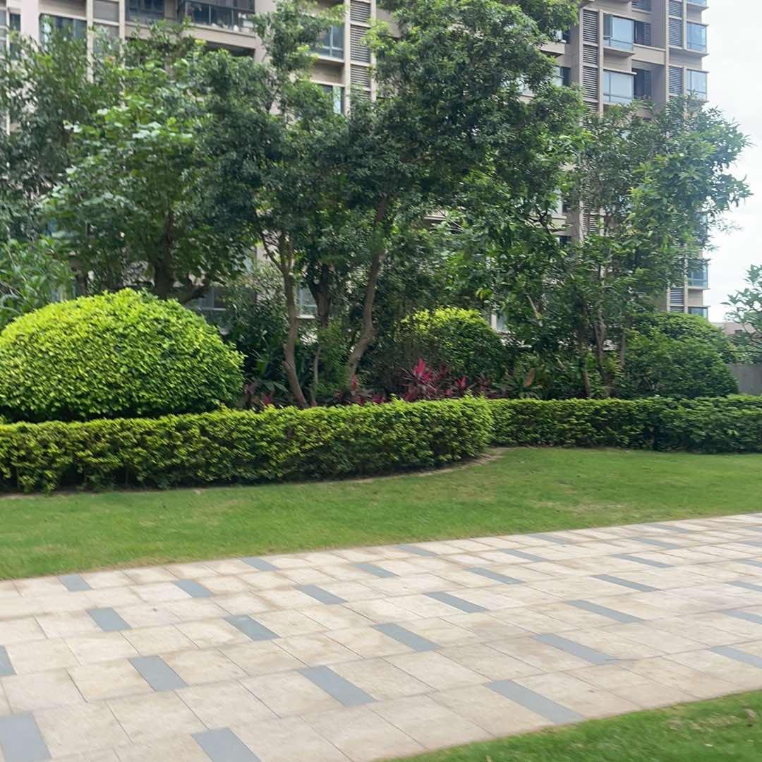 惠州市冠达八直播号