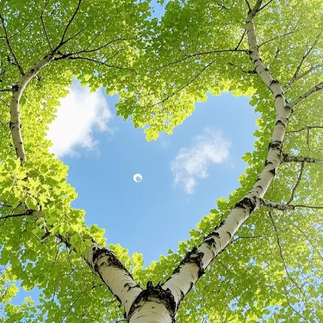 七色纺.远洋新城店经营号