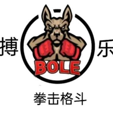 深圳搏乐拳击综合格斗运动俱乐部