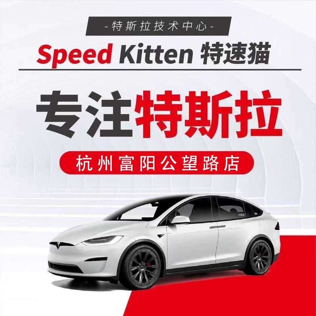 特速猫特斯拉专修(公望路店)专用号
