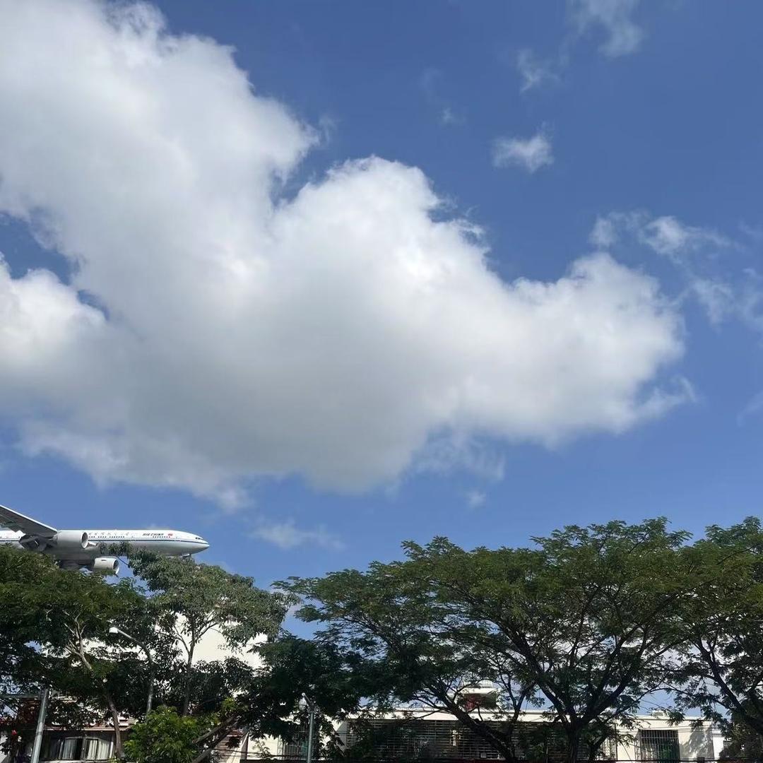 意一直播号