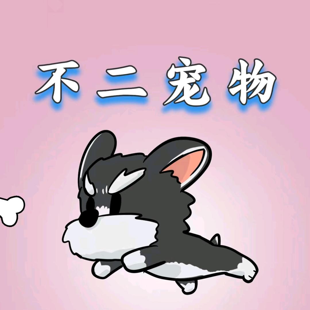 一家叫不二的宠物店