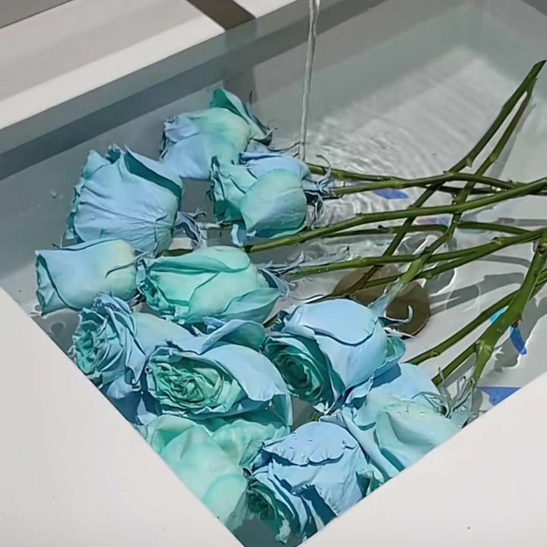 南宁市青秀区不止玫瑰鲜花工作室