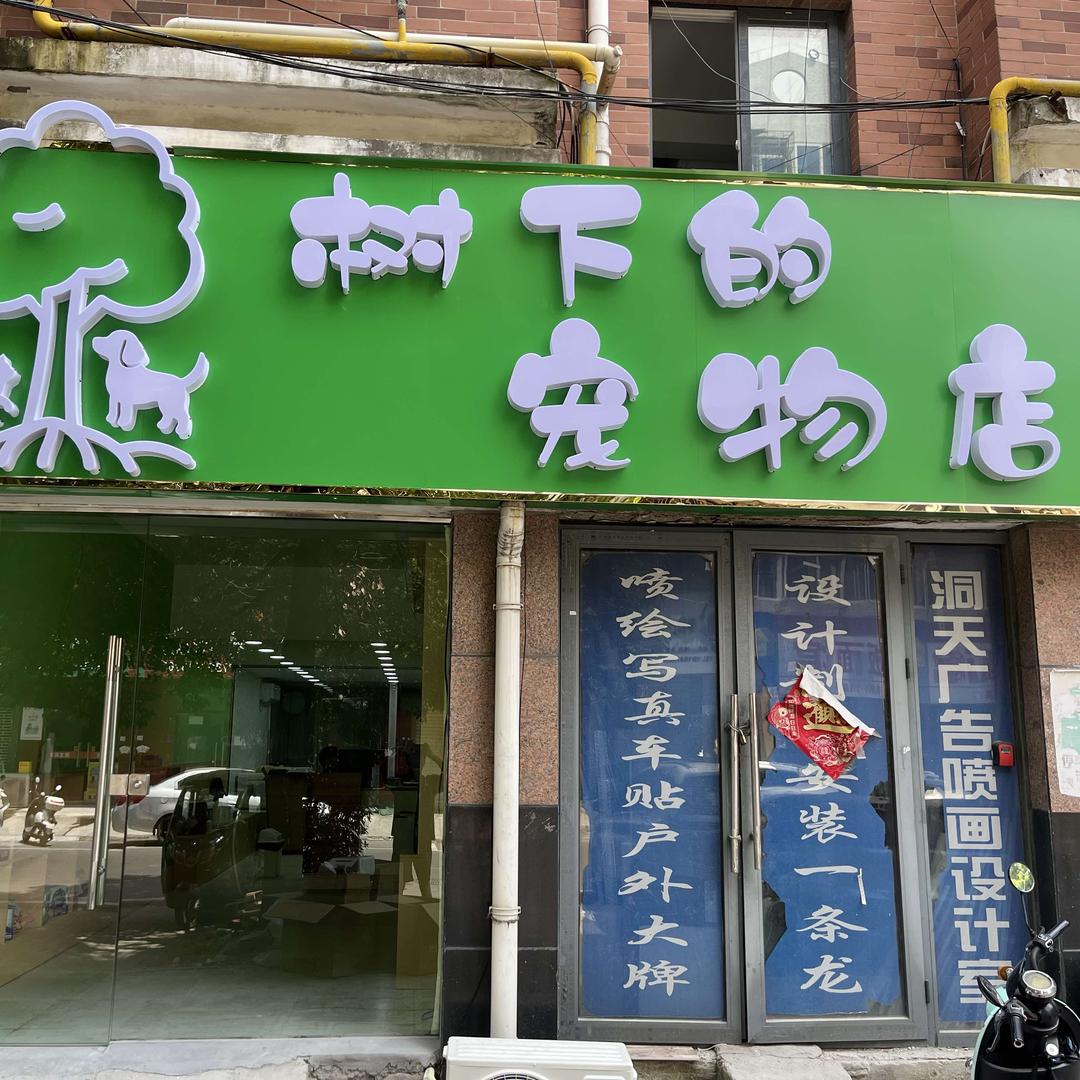 树下的宠物店官方号