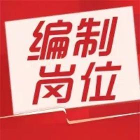 编制优选