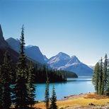 广州永旭讯推广直播号