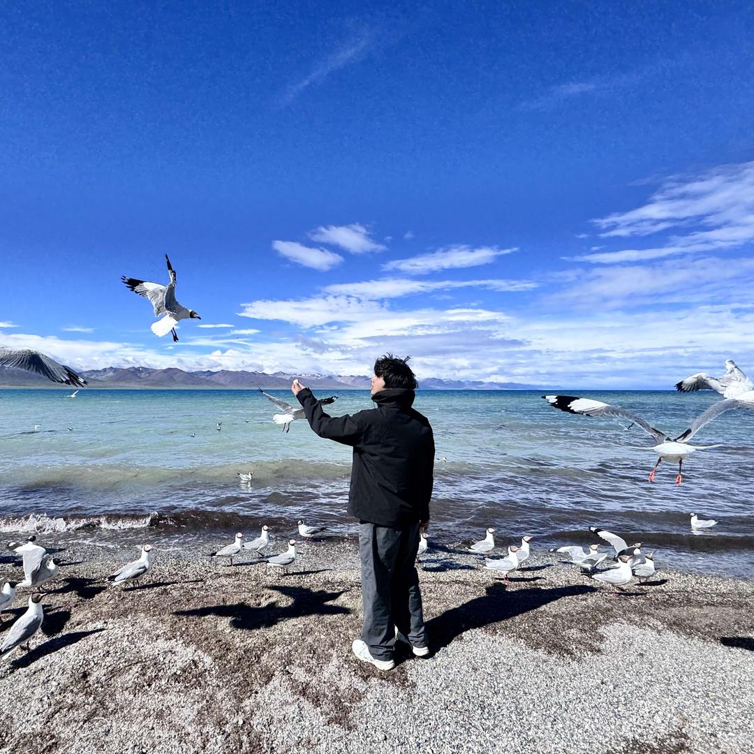 七月照相馆·身份证·结婚登记照