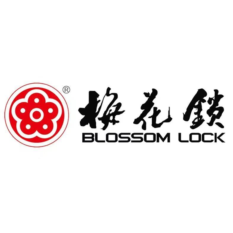 新郑梅花全屋智能锁