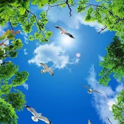 五号广州泉磊建筑工程直播号