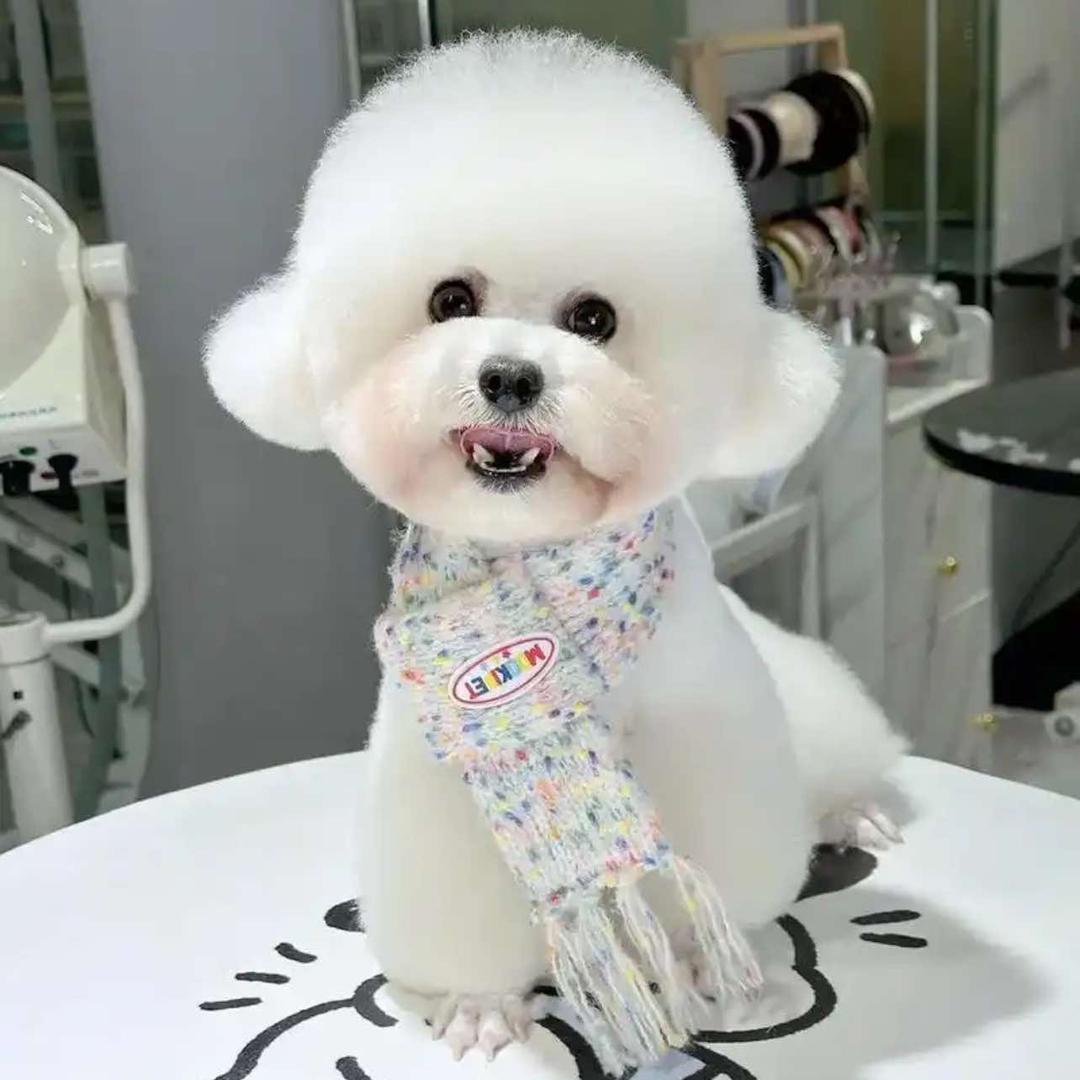 宠艾宠物生活馆(华荣公寓店)官方号