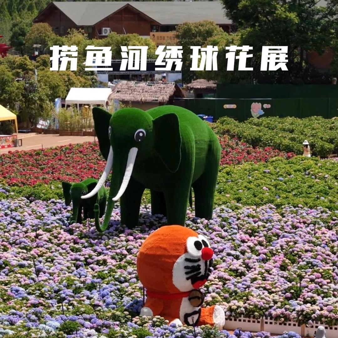 捞渔河湿地公园绣球花展