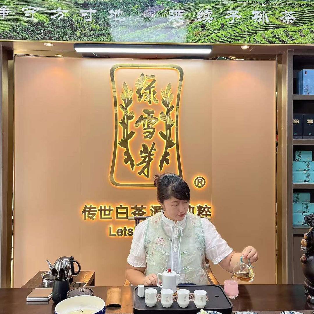 福鼎太姥山绿雪芽白茶-伊犁体验馆