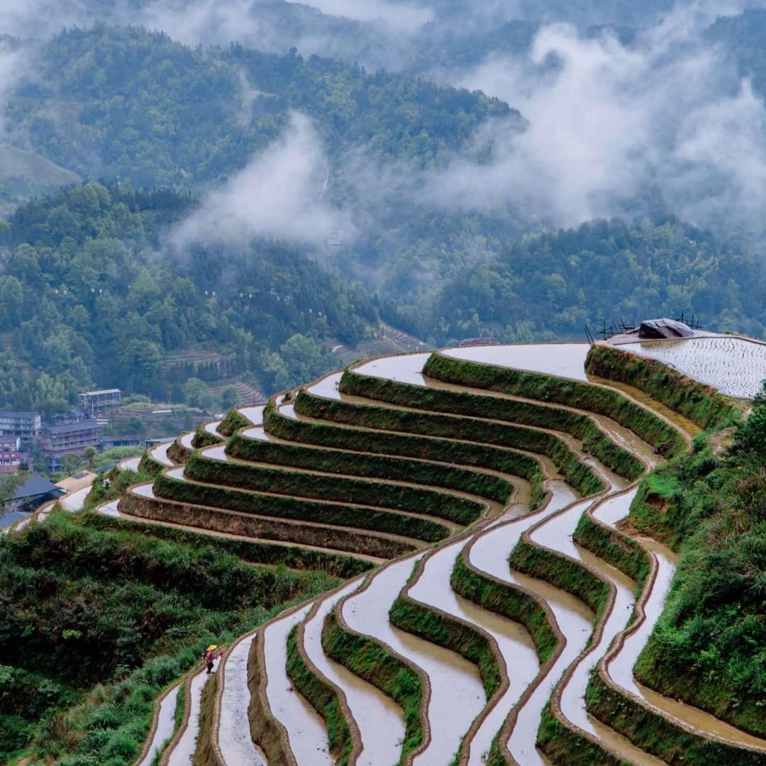 金贤兴五金猫牙香米经营部