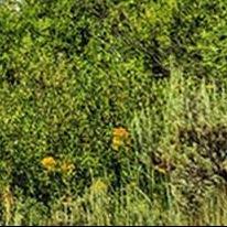 飞朋幸福北门东南直播号