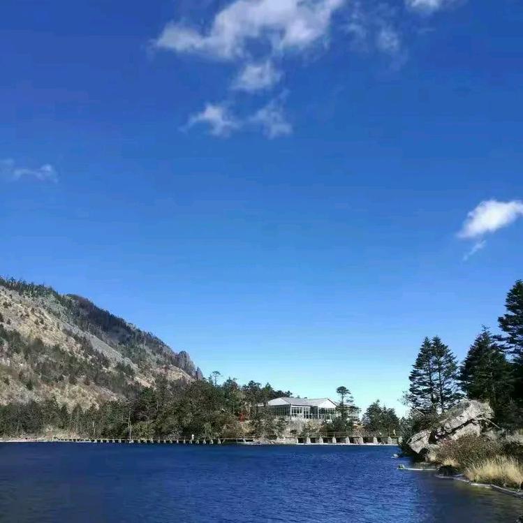 运输客服直播号